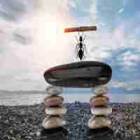 爬​虫​开﻿发​中‍会‍用‍到​哪​些​技﻿术‌